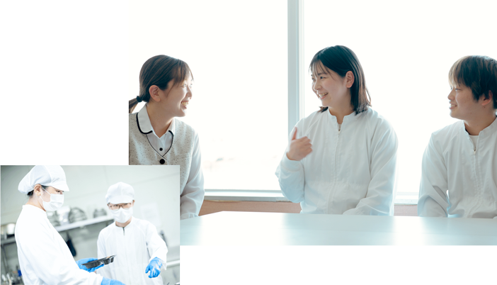 採用情報