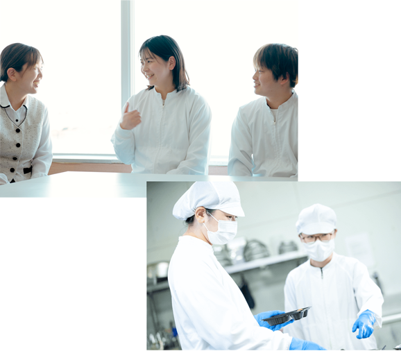 採用情報